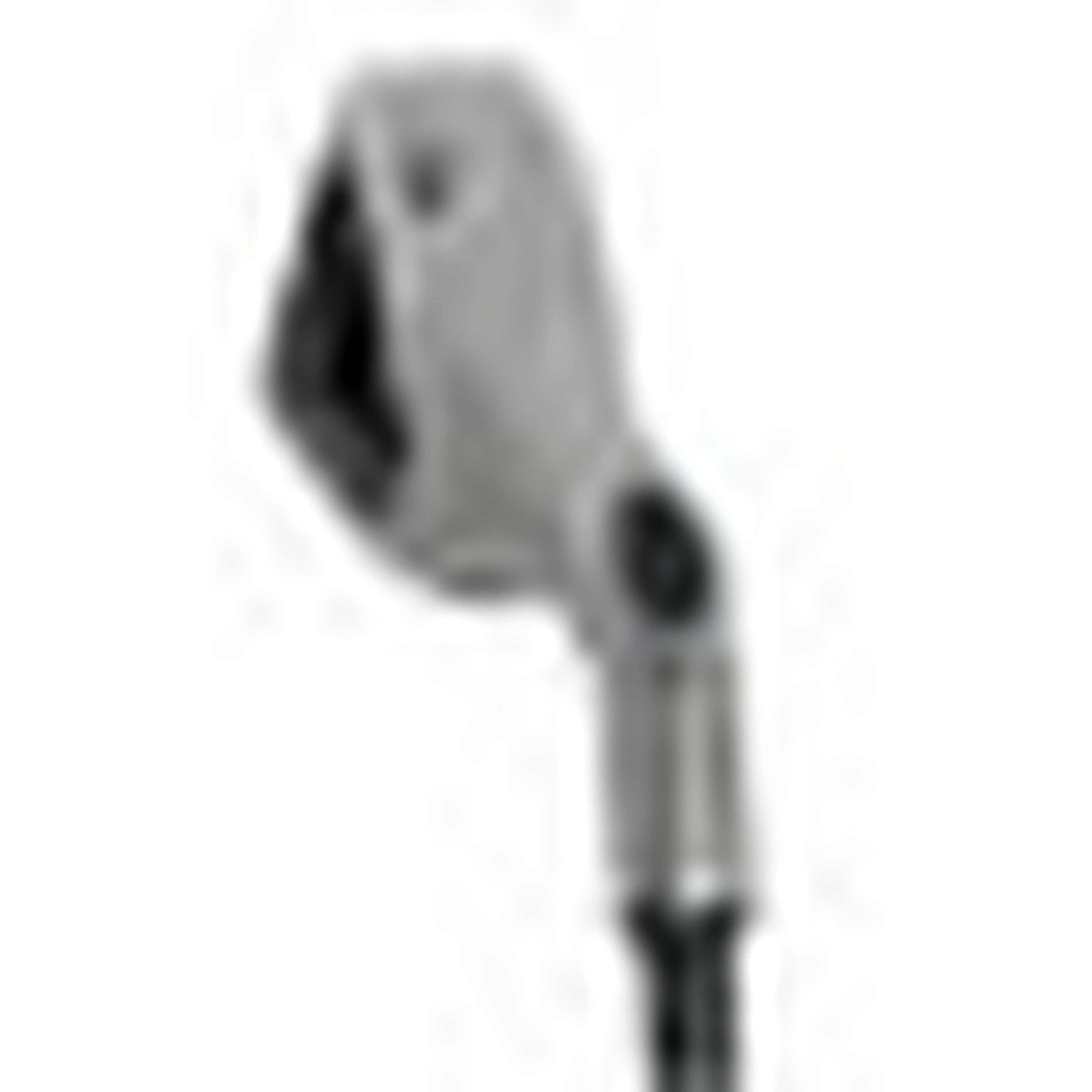 Big Bertha Irons (1996)