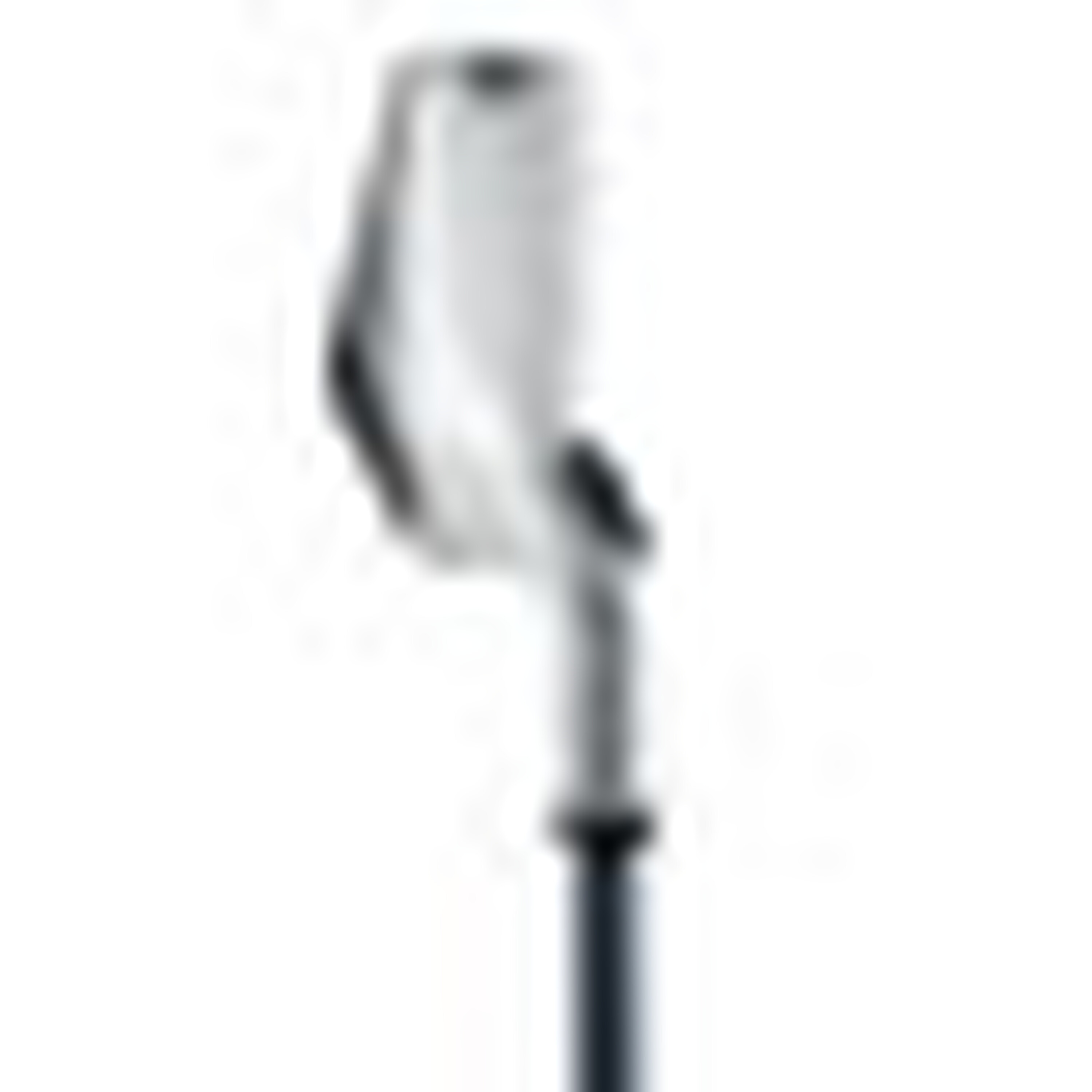 Hawk Eye VFT Irons