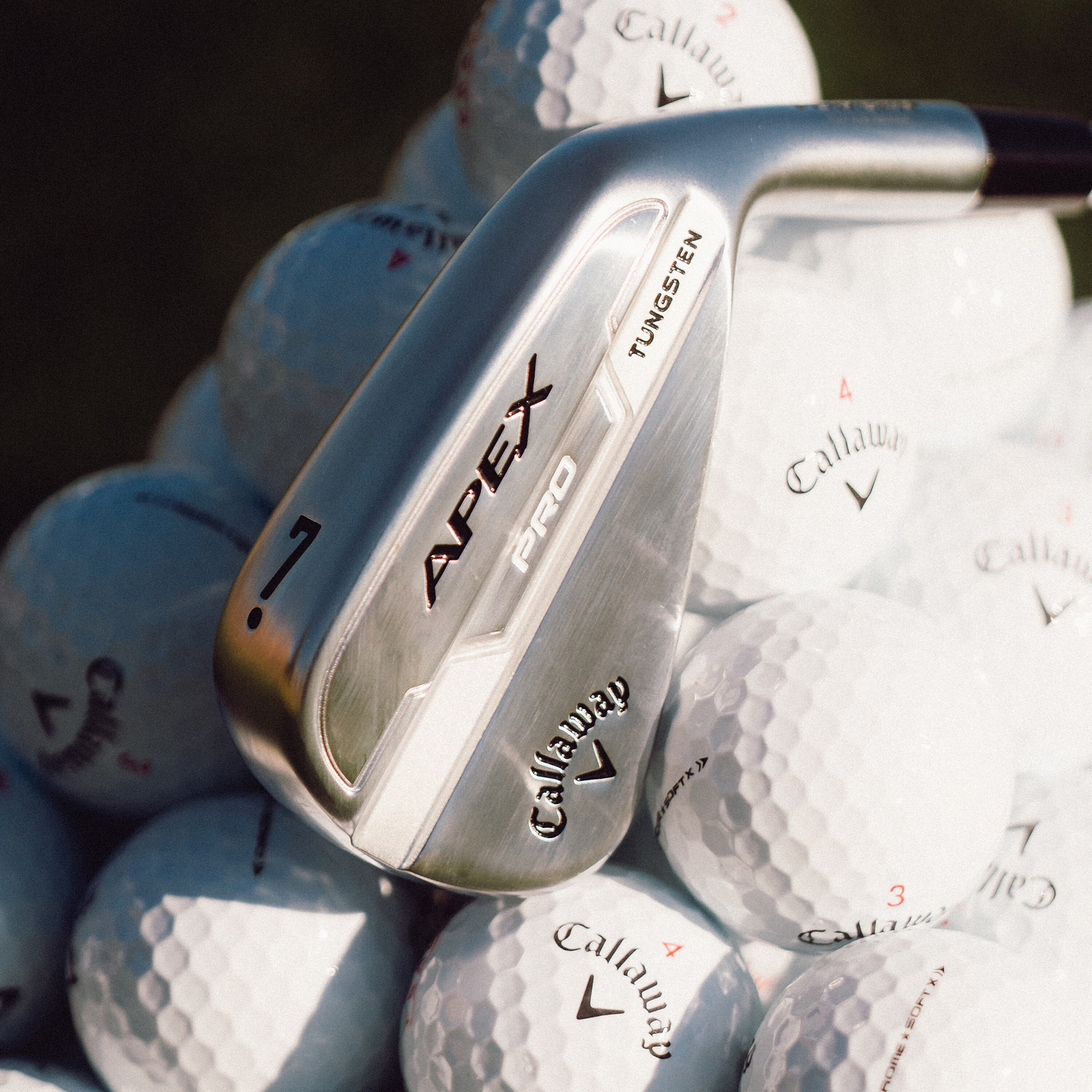 Apex Pro 21 Irons image 6