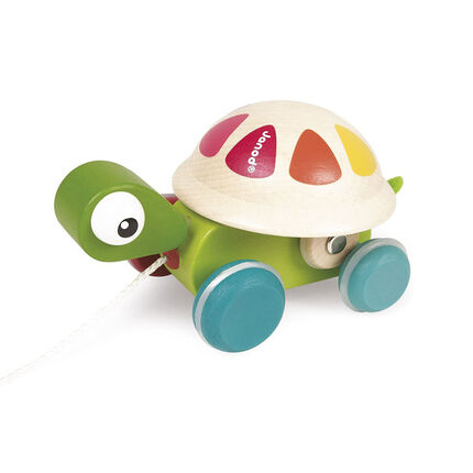 Tortue à promener - Zigolos vert