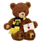HARRY POTTER™ HUFFLEPUFF™ House Teddy Bear with Scarf and HOGWARTS™ Acceptance Letter