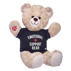 Happy Hugs Teddy Bear "Emotional Support Bear" Gift Set