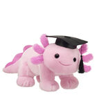 Pink Axolotl Stuffed Animal Graduation Gift Set