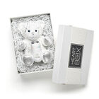 Time to Shine Teddy Bear with Swig Life White Stemless Flute