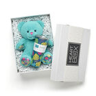 Tropical Teddy Bear with Swig Life Palm Leaf Insulated Tumbler