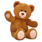 Happy Brown Teddy Bear