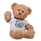 Timeless Teddy Bear "Get Well Soon" Gift Set