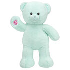 Mint Teddy Bear