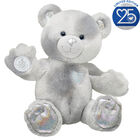 Build-A-Bear 25th Silver Celebration Teddy Bear