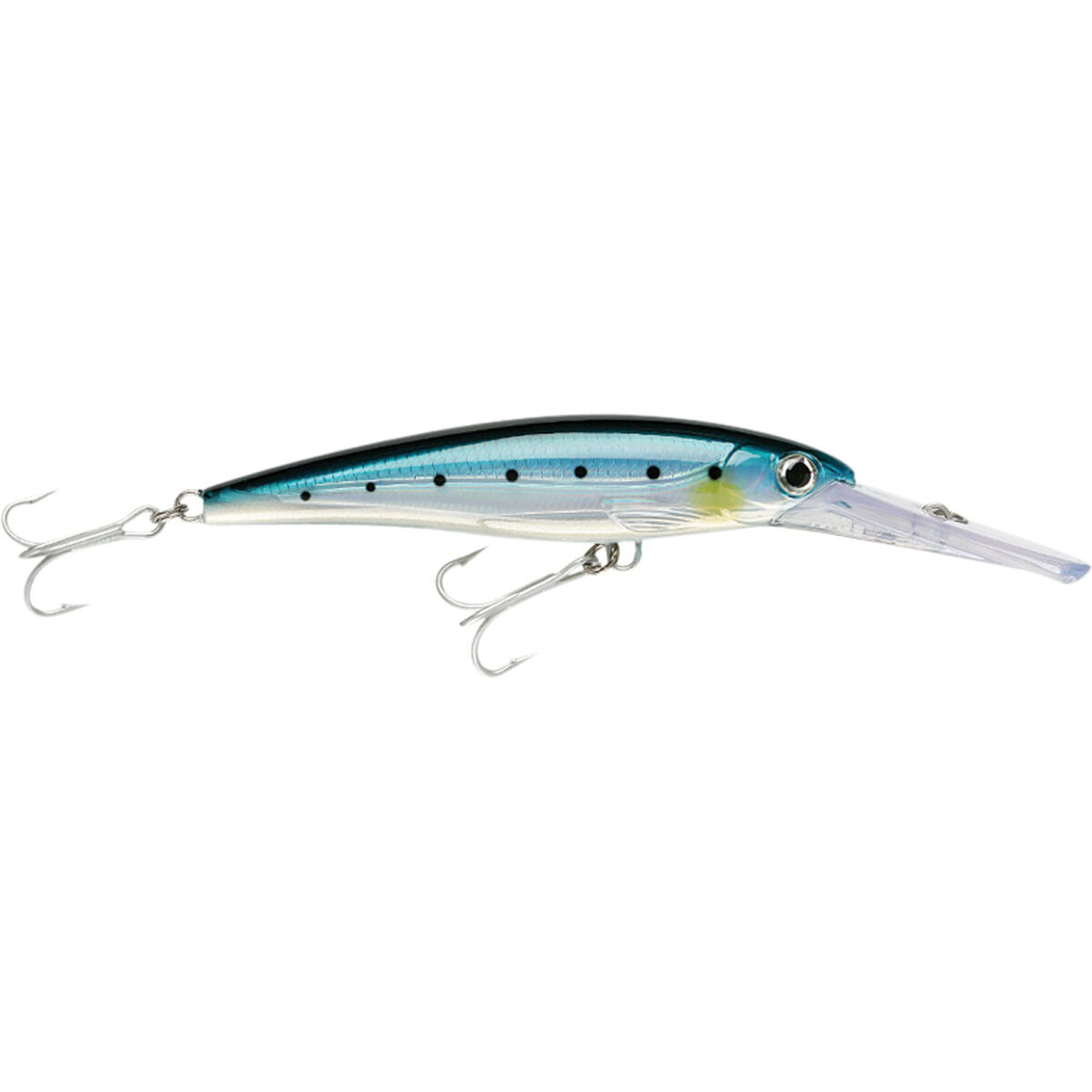 Blue Sardine