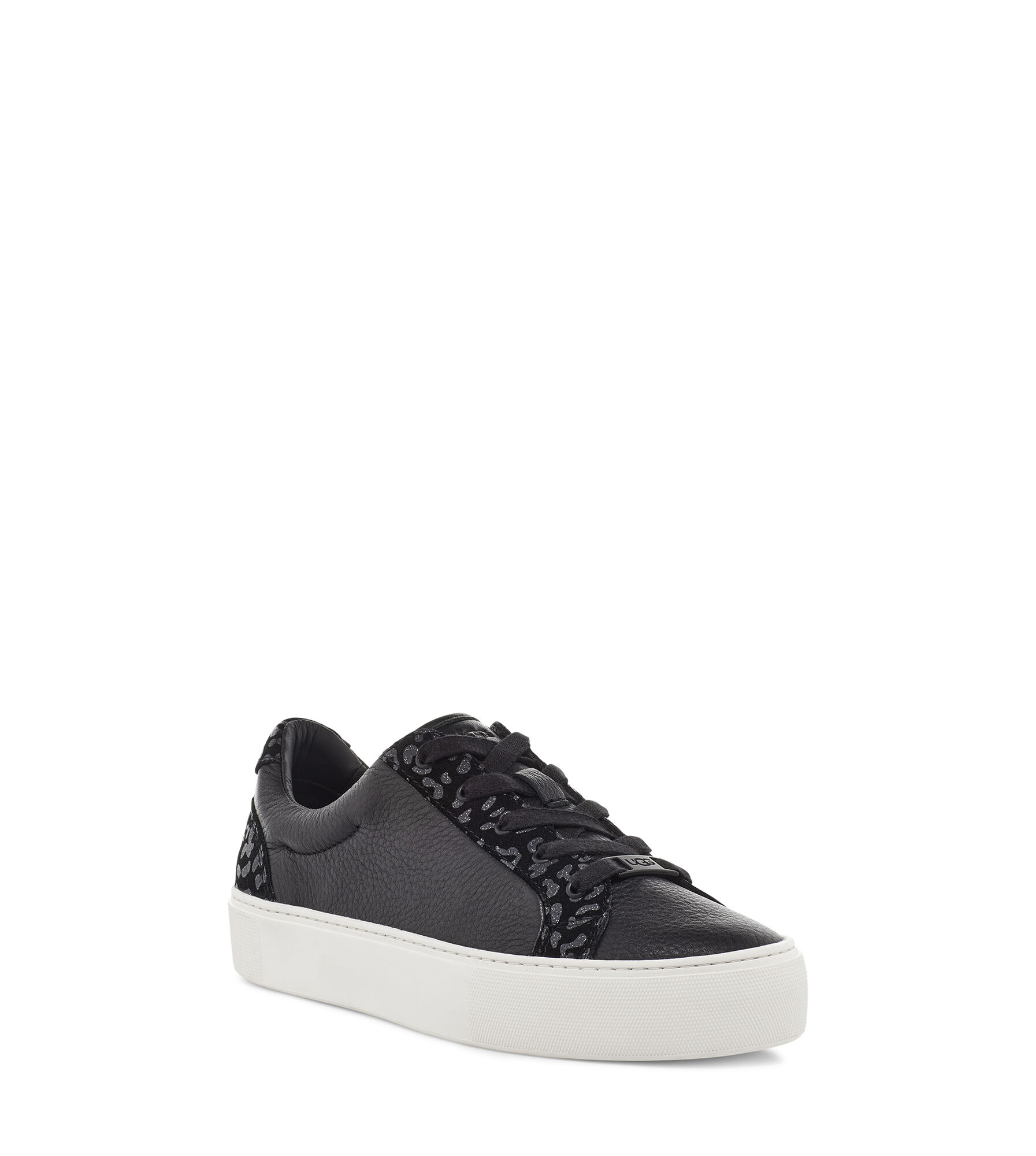 Zilo snow leopard trainer