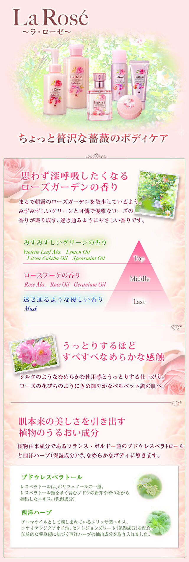 ラ・ローゼ