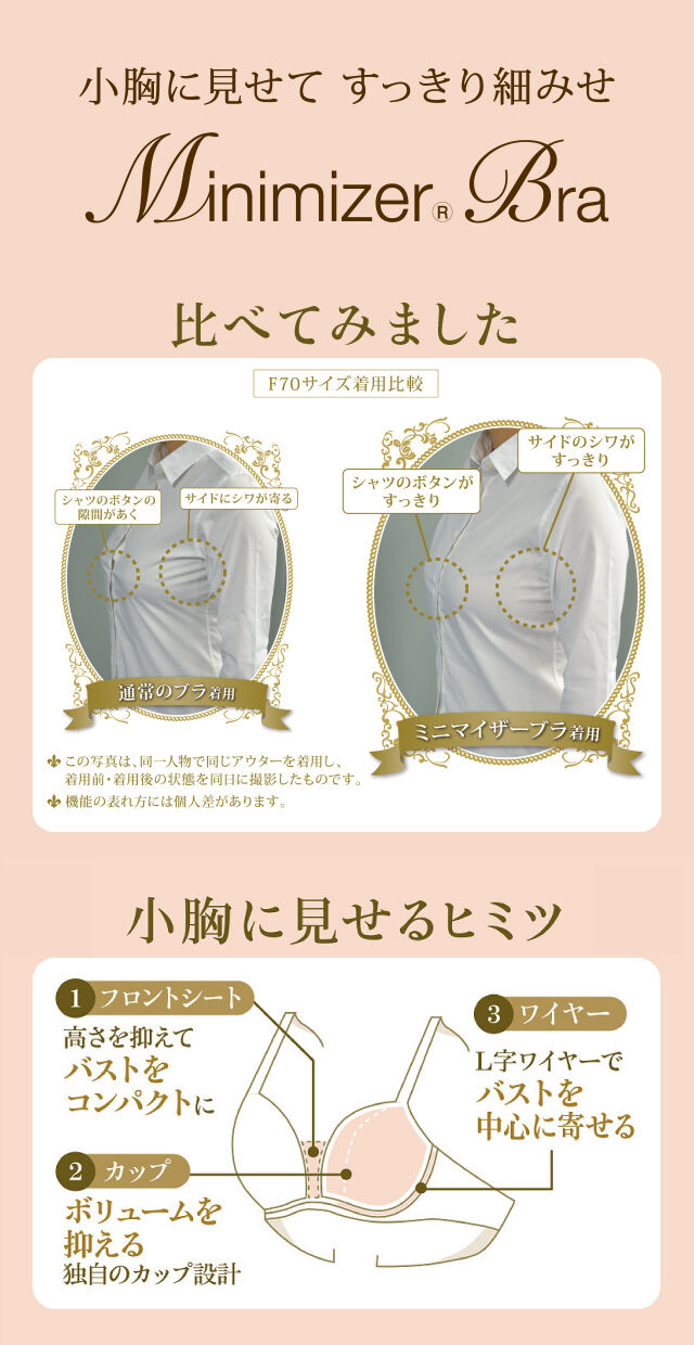 MinimizerBra 機能図