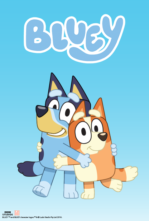 Meet Bluey!