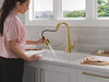 Single-Handle Pull-Down Kitchen Faucet