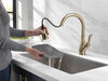 Pull-Down Kitchen 1L with Soap Disp Bundle