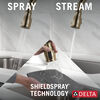 Pull-Down Kitchen 1L with Soap Disp Bundle