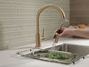 Pull-Down Kitchen Limited Swivel (Recertified)