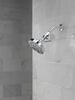 5-Setting Showerhead