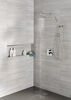 Single-Setting Raincan Shower Head