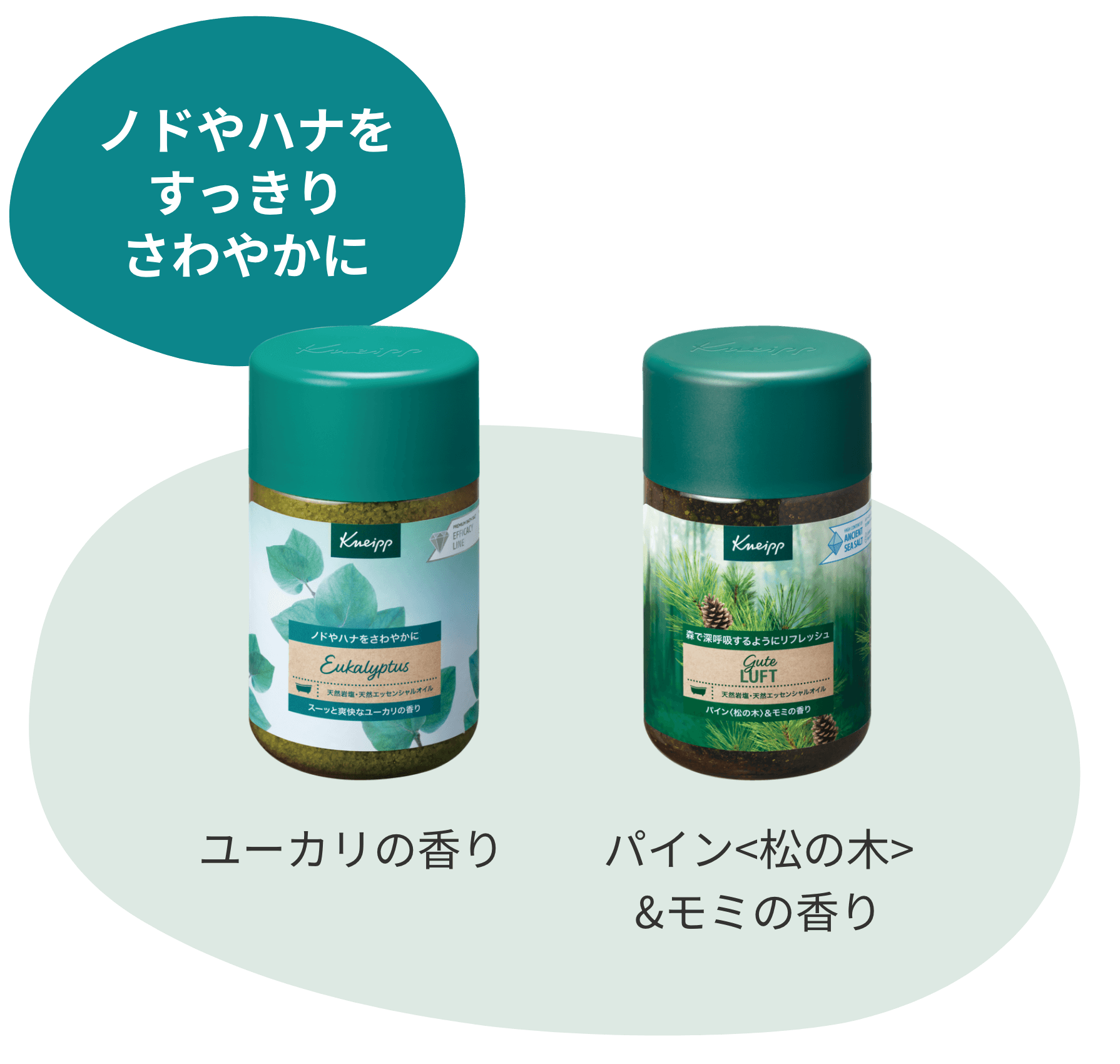 ノドやハナをすっきりさわやかに | ユーカリの香り | パイン<松の木>&モミの香り