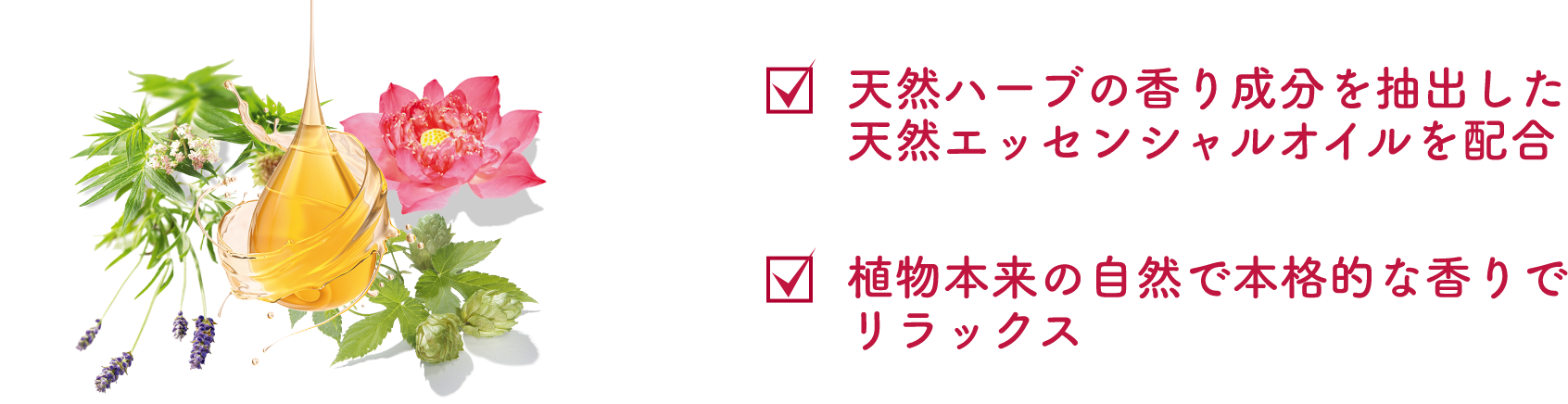 ハーブの画像