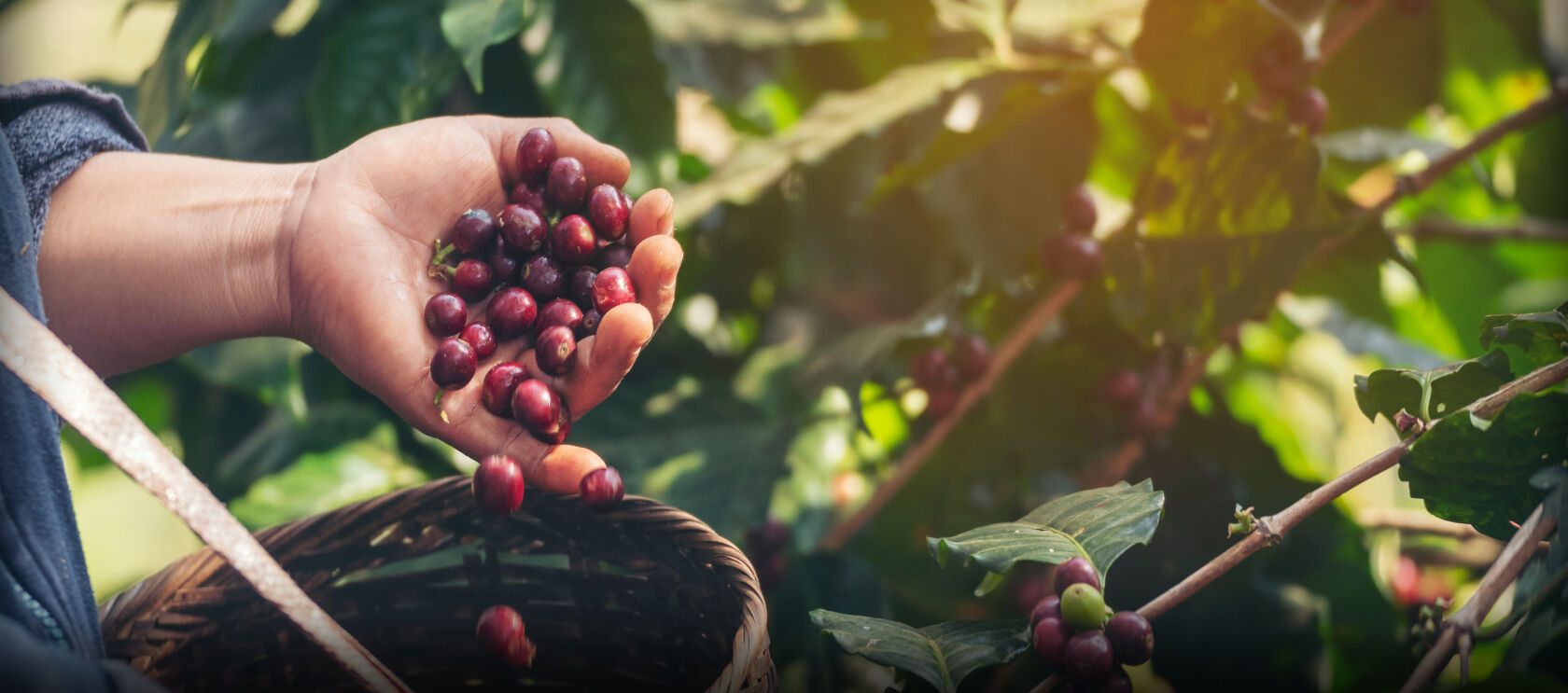 Les domaines de notre engagement pour un développement durable