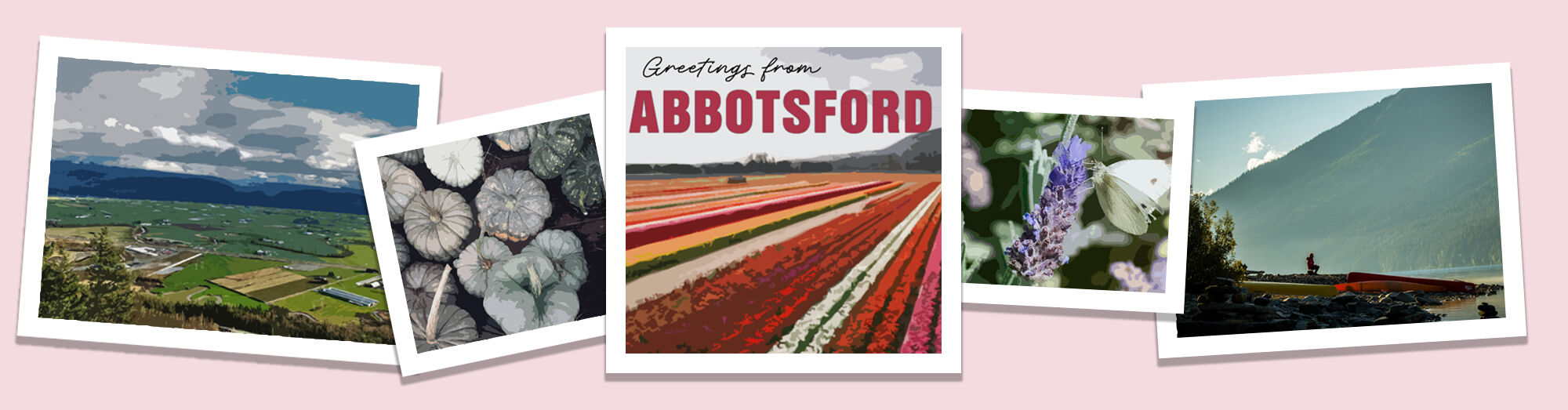 Abbotsford Suzannes