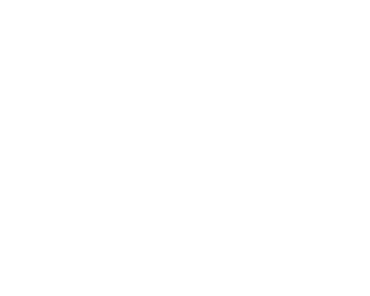 Silver Logo